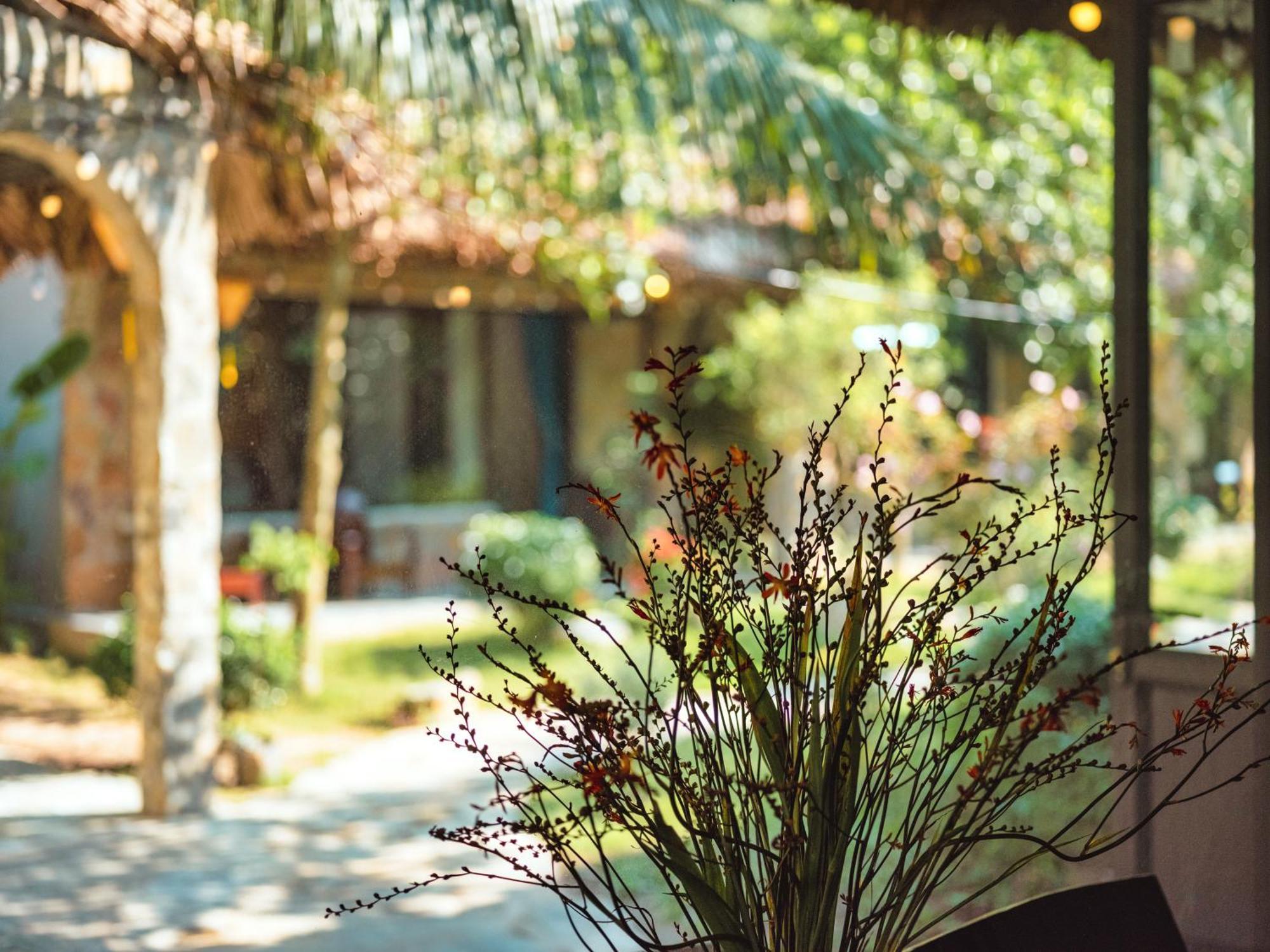 Cozy Beer Garden Homestay Ninh Binh Buitenkant foto