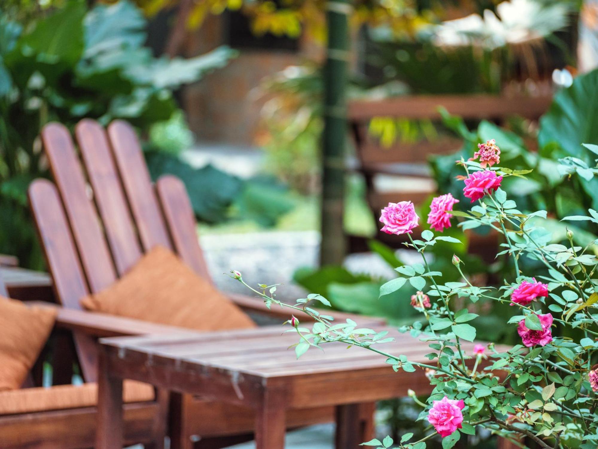 Cozy Beer Garden Homestay Ninh Binh Buitenkant foto